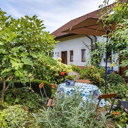 Ferienwohnung Alina Singen Dış mekan fotoğraf