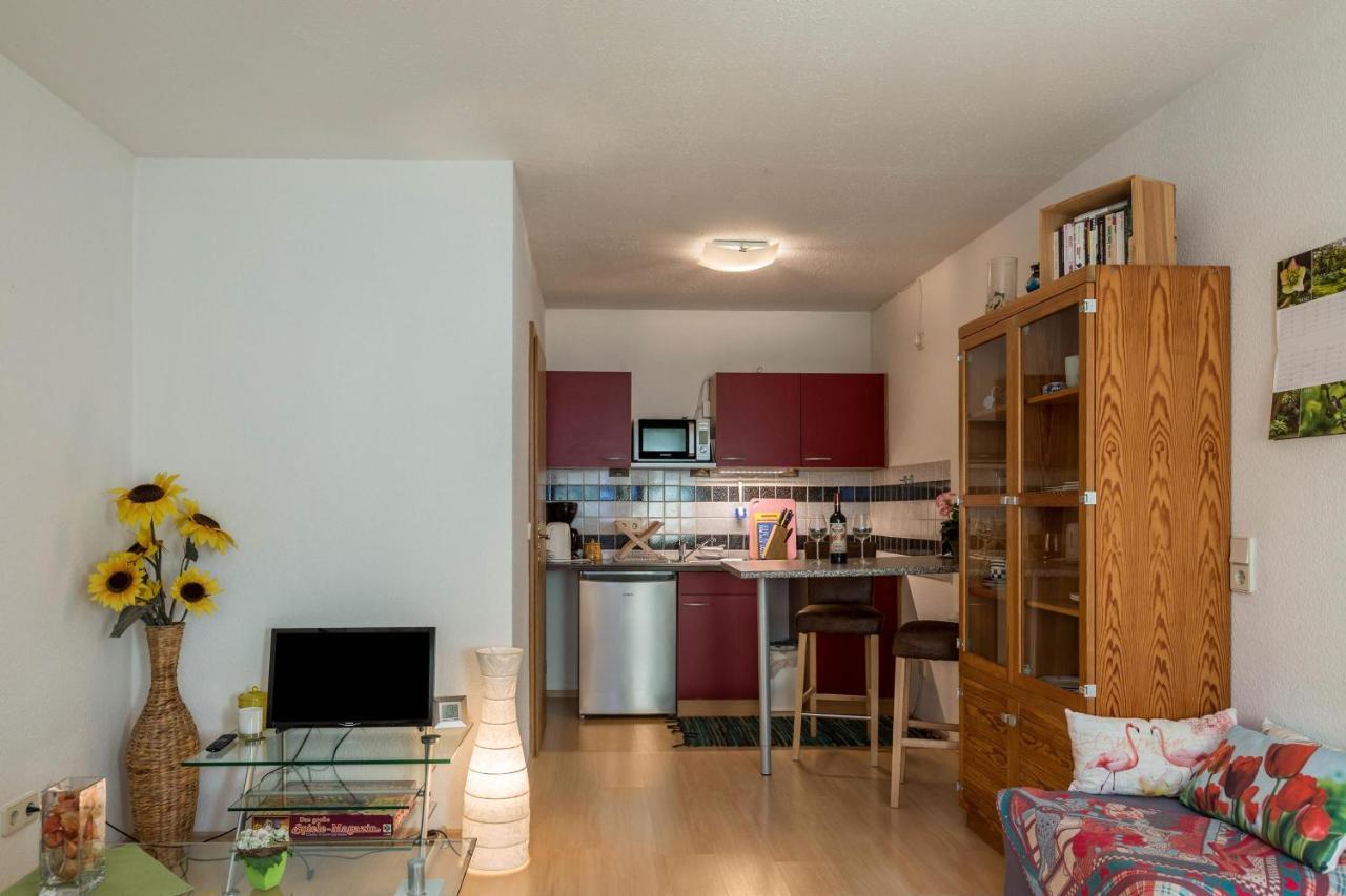 Ferienwohnung Alina Singen Dış mekan fotoğraf